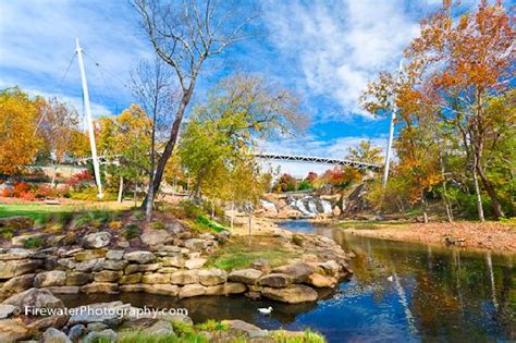 tripadvisor greenville